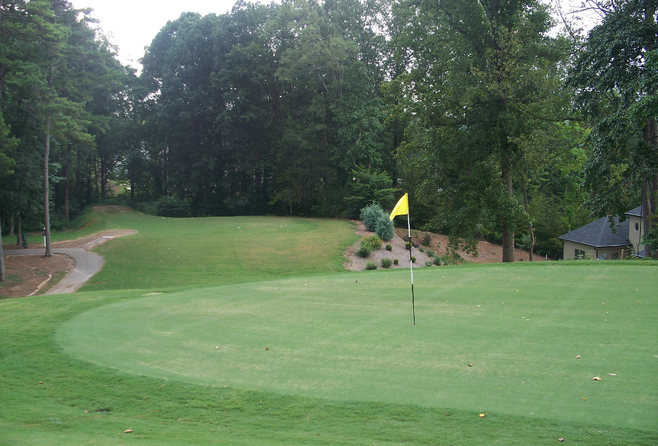 view of golf course green